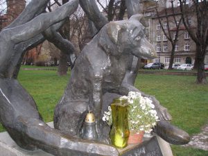 Krakow's dog loyal to its dead master