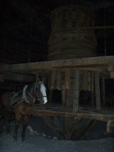 Krakow salt mines: traditional power (horse is not live!)