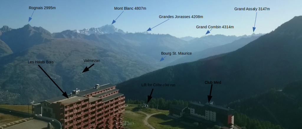 Annotated view of the timelapse videos