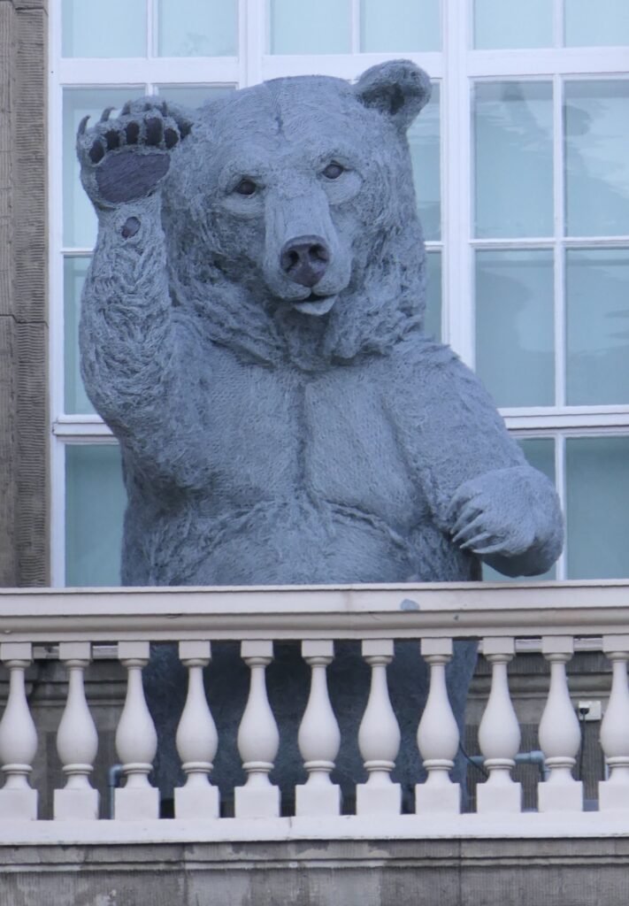 Bear in the Natural History Museum