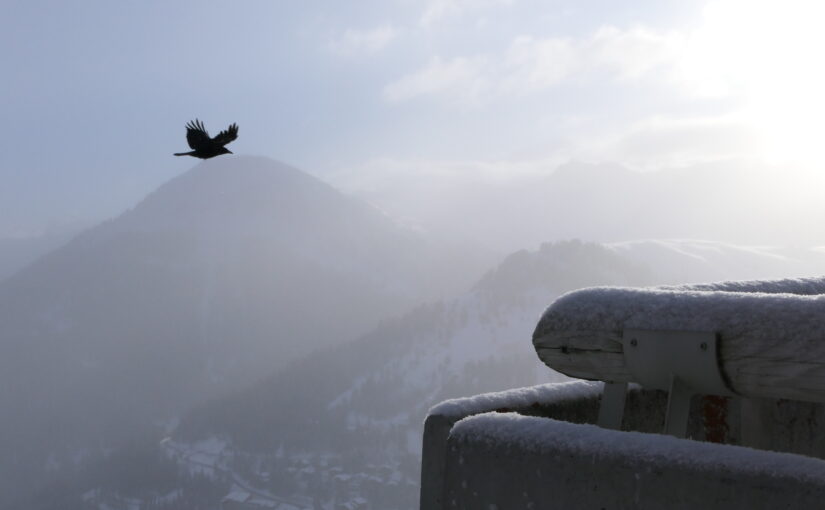 First three months of 2026 and an increasing divergence…