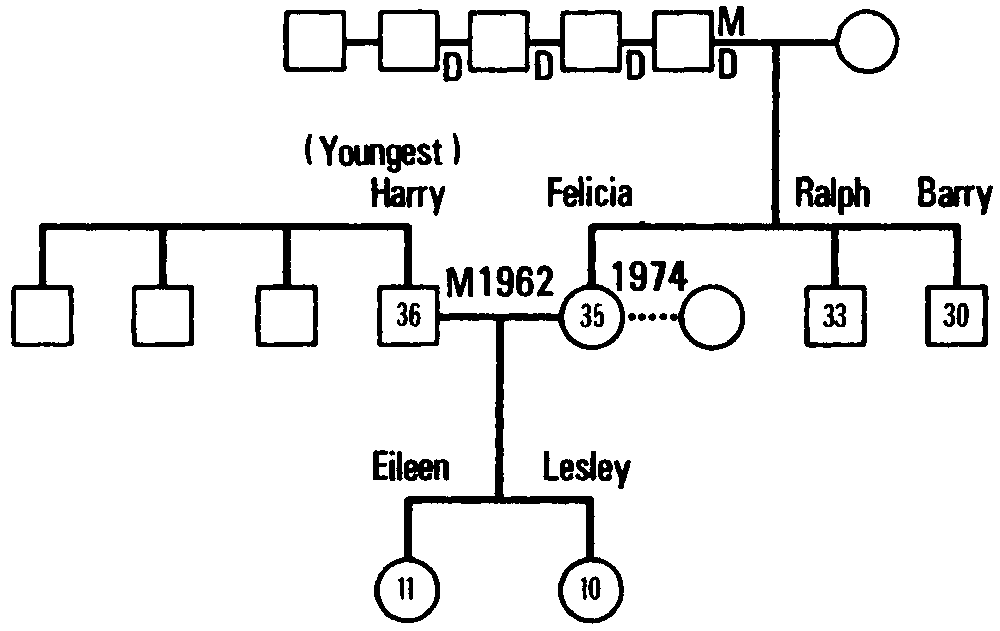 Figure 10.1 Initial Geneogram of the Keats Family