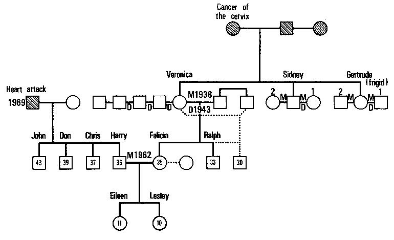 Figure 10.2 Final Geneogram of the Keats family