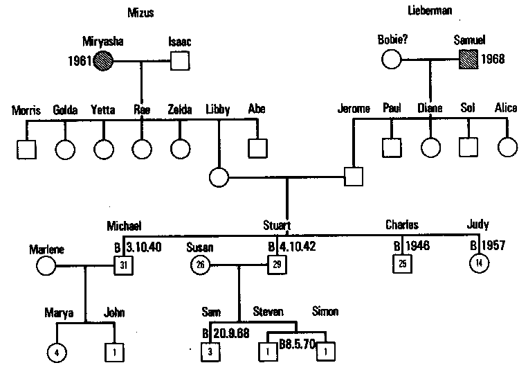 Figure 11.1  The Lieberman Geneogram (First Attempt)