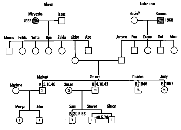 Figure 11.1  The Lieberman Geneogram (First Attempt)