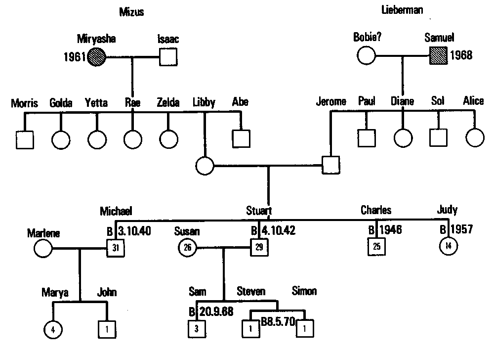 Figure 11.1  The Lieberman Geneogram (First Attempt)