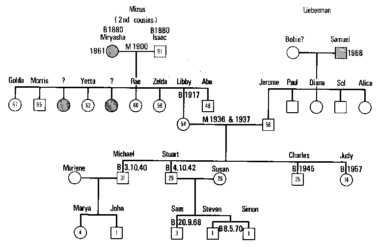 Figure 11.2 The Lieberman Geneogram, Mizus side completed