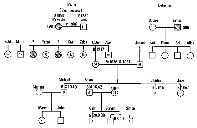 Figure 11.2 The Lieberman Geneogram, Mizus side completed