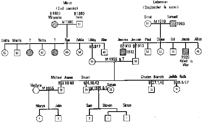 Figure 11.3  The Lieberman Geneogram Completed