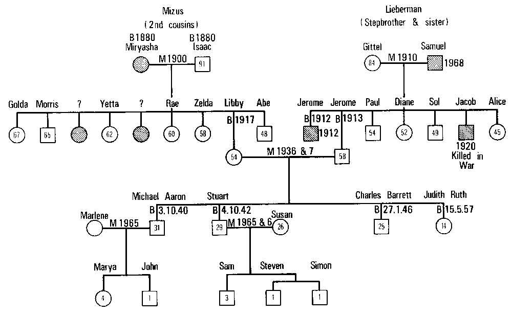 Figure 11.3  The Lieberman Geneogram Completed