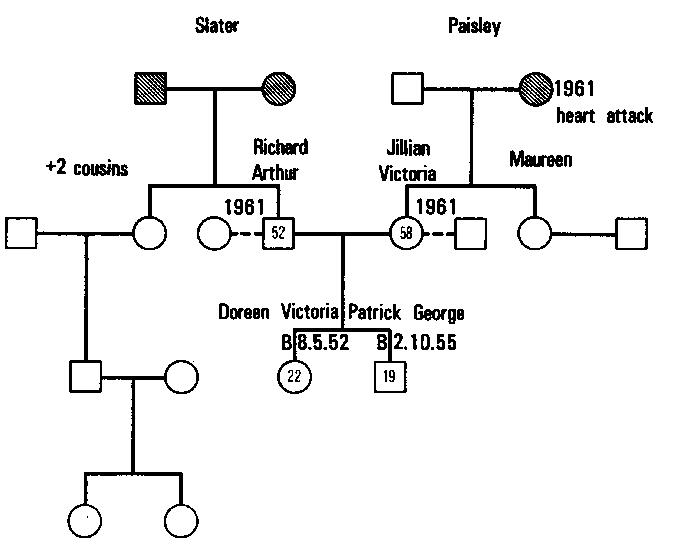 Figure 4.8 The Process of Geneogram Construction, IV