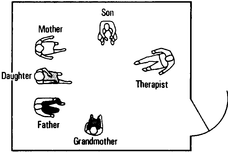 Figure 7.1a Change in Seating in a Family Session