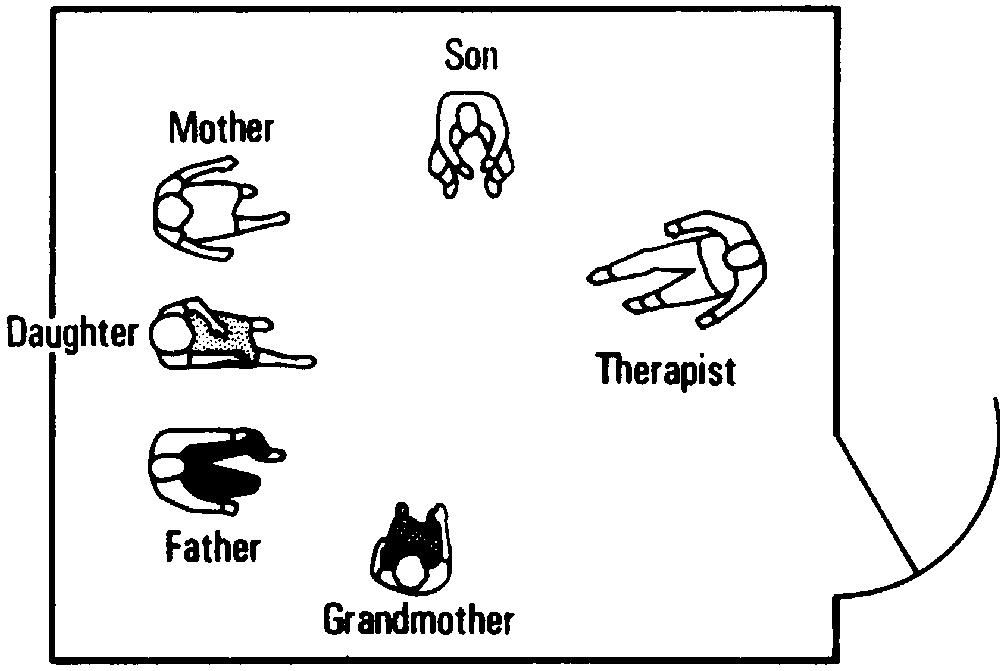 Figure 7.1a Change in Seating in a Family Session