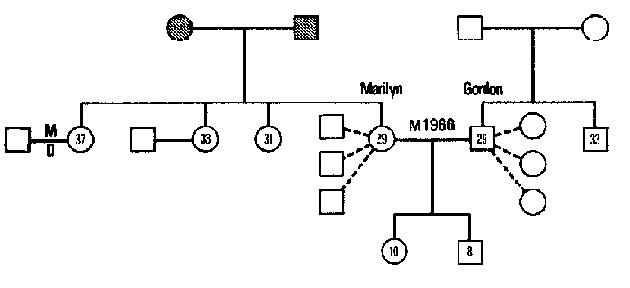 Figure 9.5 Geneogram of the Derdle Family